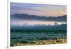 Petaluma Farm Land and First Light, Sonoma, San Francisco Bay Area-Vincent James-Framed Photographic Print