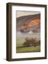 Petaluma Living, Earth Country, Sonoma County, Northern California Farm-Vincent James-Framed Photographic Print