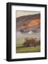 Petaluma Living, Earth Country, Sonoma County, Northern California Farm-Vincent James-Framed Photographic Print