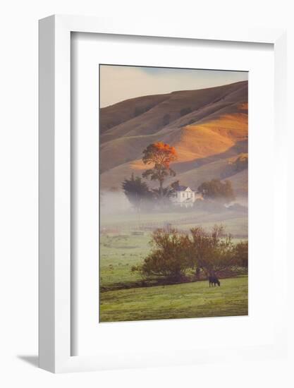 Petaluma Living, Earth Country, Sonoma County, Northern California Farm-Vincent James-Framed Photographic Print