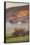 Petaluma Living, Earth Country, Sonoma County, Northern California Farm-Vincent James-Framed Stretched Canvas