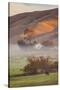 Petaluma Living, Earth Country, Sonoma County, Northern California Farm-Vincent James-Stretched Canvas
