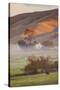 Petaluma Living, Earth Country, Sonoma County, Northern California Farm-Vincent James-Stretched Canvas