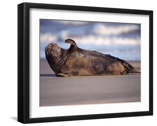 Photographic Print, , large