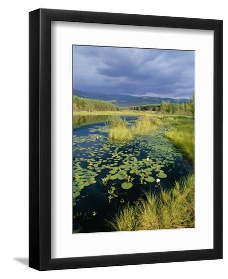 Premium Photographic Print, , large