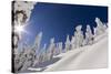 Pete Costain skiing untracked powder at Whitefish Mountain Resort in Montana-Chuck Haney-Stretched Canvas