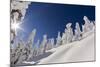 Pete Costain skiing untracked powder at Whitefish Mountain Resort in Montana-Chuck Haney-Mounted Photographic Print