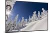 Pete Costain skiing untracked powder at Whitefish Mountain Resort in Montana-Chuck Haney-Mounted Photographic Print