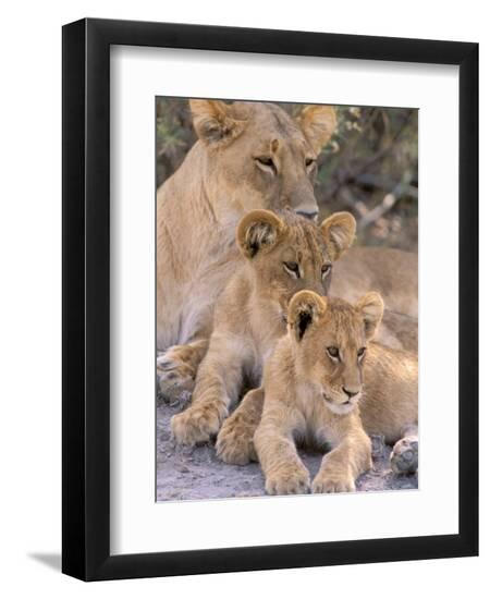 Premium Photographic Print, , large