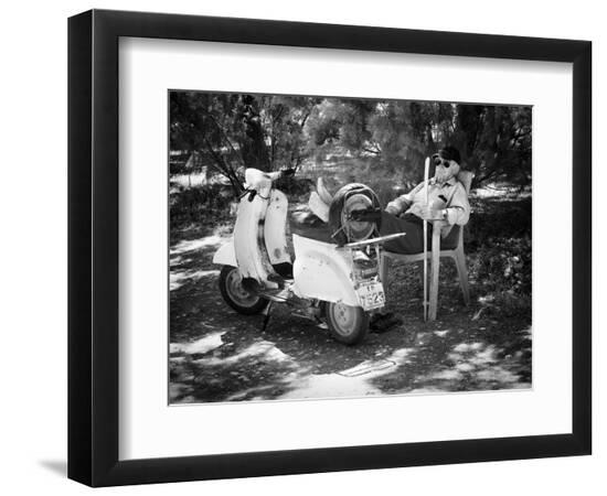 Premium Photographic Print, , large