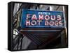 Pete's Famous Hot Dogs, Birmingham, Alabama-Carol Highsmith-Framed Stretched Canvas