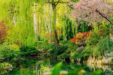 View of pond in garden, Butchart Gardens, Vancouver Island, British Columbia, Canada-Pete Saloutos-Photographic Print