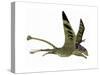 Peteinosaurus Pterosaur from the Triassic Period-Stocktrek Images-Stretched Canvas