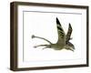 Peteinosaurus Pterosaur from the Triassic Period-Stocktrek Images-Framed Art Print