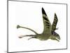 Peteinosaurus Pterosaur from the Triassic Period-Stocktrek Images-Mounted Art Print