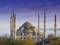 Just the Print