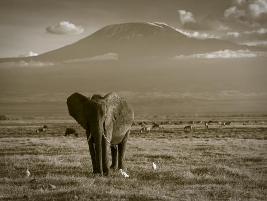 Photographic Print, , large