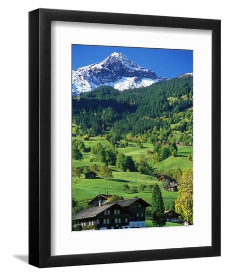 Premium Photographic Print, , large