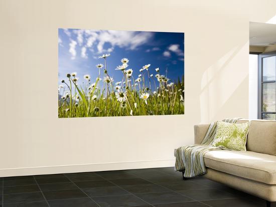 Giant Art Print, , large