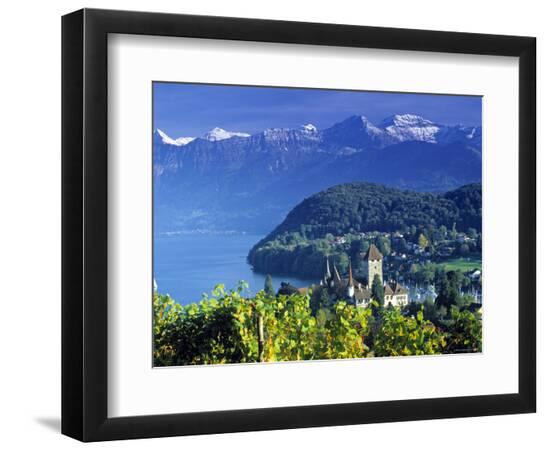 Photographic Print, , large