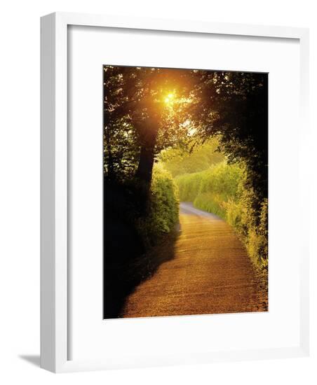 Framed Photographic Print, , large