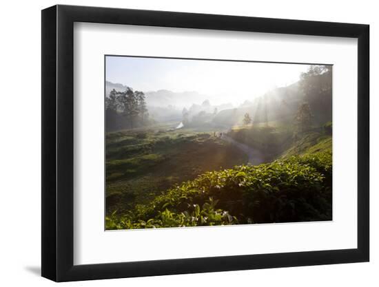 Premium Photographic Print, , large