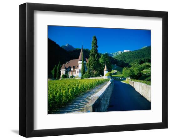 Photographic Print, , large
