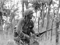 Vietnam War Ia Drang Battle Rescorla-Peter Arnett-Premium Photographic Print