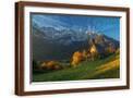 Brown Frame