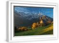 White Frame
