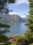 Acer Trees and Pond in Sunshine, Gardens of Villa Melzi, Bellagio, Lake Como, Lombardy, Italy-Peter Barritt-Photographic Print