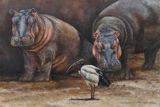 Zebras I-Peter Blackwell-Art Print