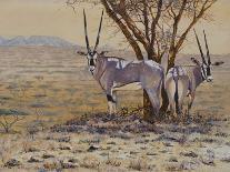 Safari IV-Peter Blackwell-Art Print