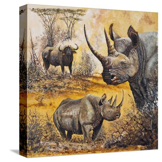Stretched Canvas Print, , large