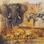 Safari IV-Peter Blackwell-Art Print