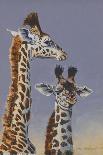 Two Young Giraffes-Peter Blackwell-Art Print