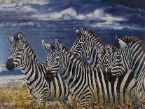 Zebras I-Peter Blackwell-Art Print