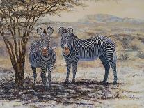 Safari IV-Peter Blackwell-Art Print