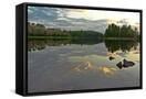 Canvas Black