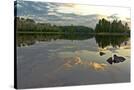 Stretched Canvas