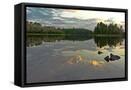 Framed Canvas