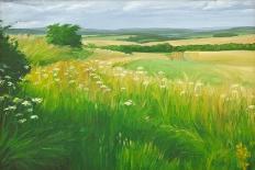 Wiltshire Landscape, Along the Wessex Ridgeway, 2010-Peter Breeden-Giclee Print