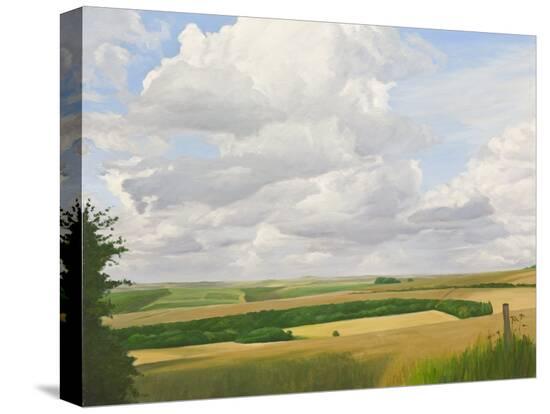 Stretched Canvas Print, , large