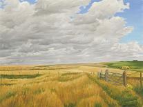 Wiltshire Landscape, Along the Wessex Ridgeway, 2010-Peter Breeden-Giclee Print