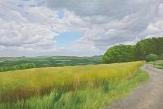 The Wessex Ridgeway Path Above Urchfont 2, 2009-Peter Breeden-Giclee Print