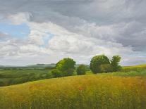 Summer on Cotley Hill, 2010-Peter Breeden-Giclee Print