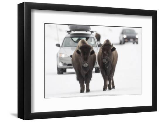 Premium Photographic Print, , large
