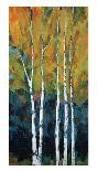 Birch Shoreline-Peter Colbert-Stretched Canvas