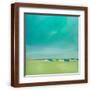 Brown Frame