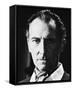 Peter Cushing-null-Framed Stretched Canvas